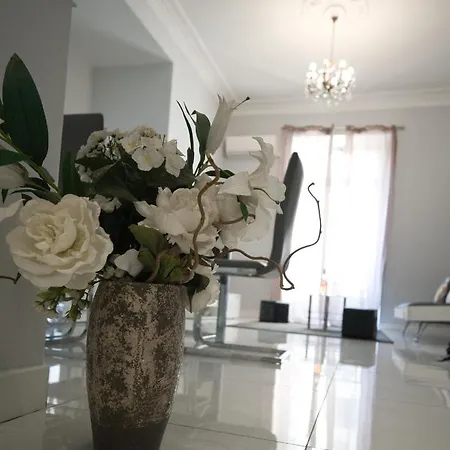 Designer Flat * Nice